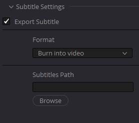 Export Subtitle - Format - Burn into video 