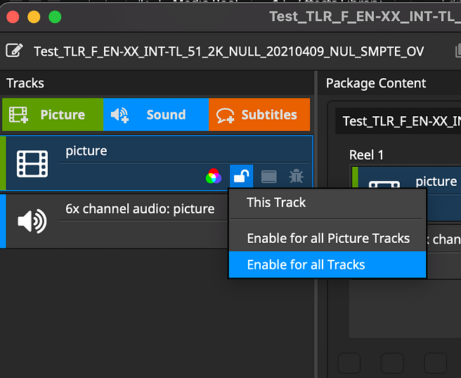 Enable encryption for picture tracks