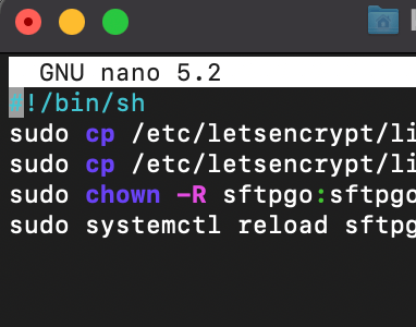 Image of the script pasted in nano 